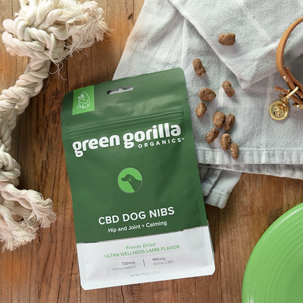 Green Gorilla™ CBD Dog Nibs on a table next to a chew toy and collar.