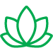 Lotus Icon illustrating everyday wellness support