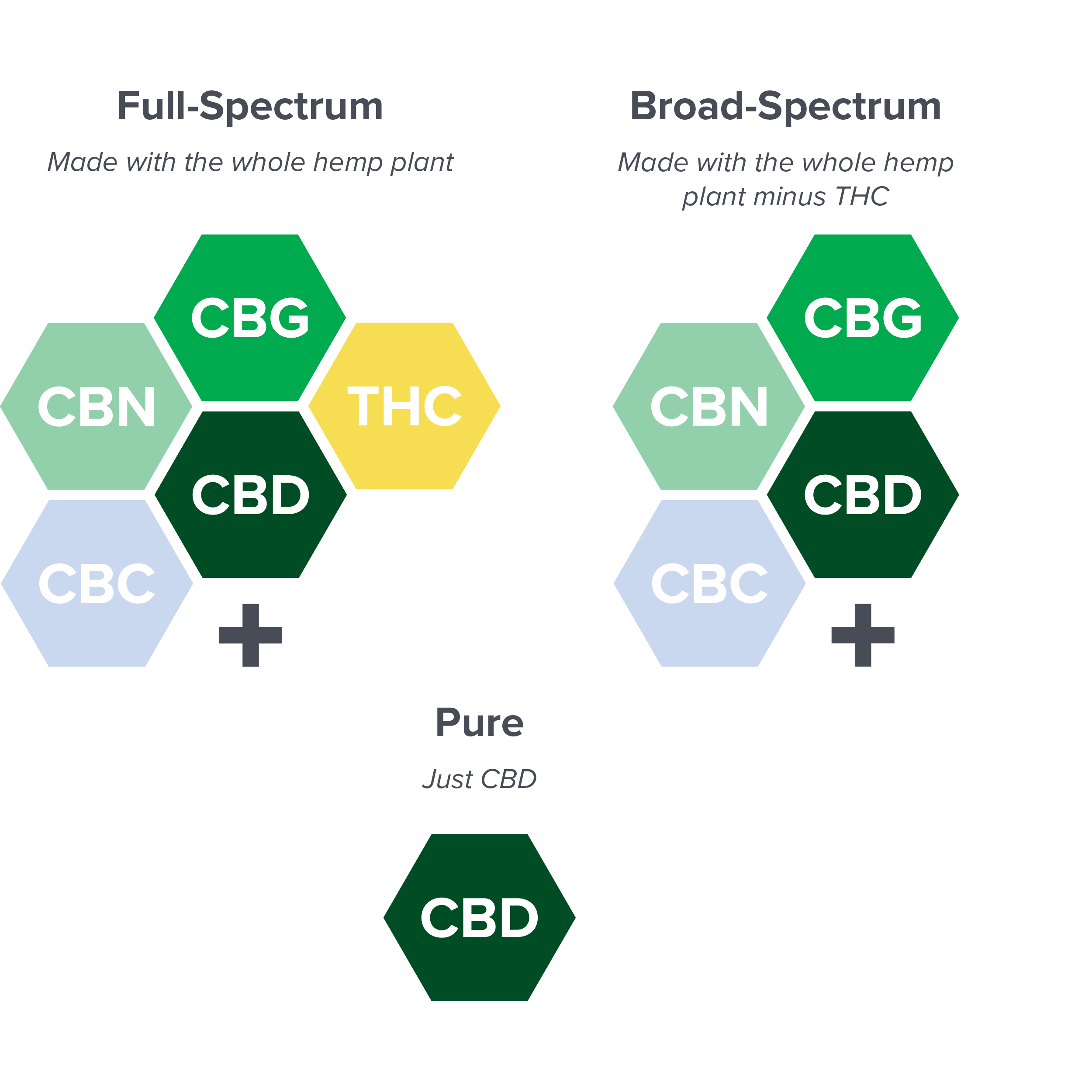 Full spectrum, broad spectrum, and pure CBD component charts.