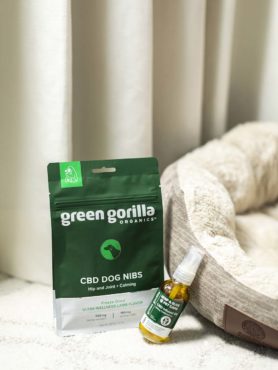 Bag of Green Gorilla™ CBD Dog Nibs with a bottle of Green Gorilla™ CBD infused oil on the floor next to a dog bed and curtains
