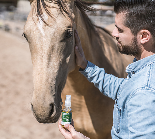 A pet owner offering their horse CBD oil