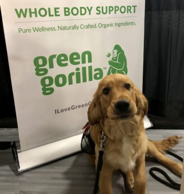 Green Gorilla produces natural cbd oils, topicals, balms and treats for dogs and pets