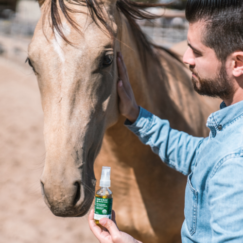 A pet owner offering their horse CBD oil