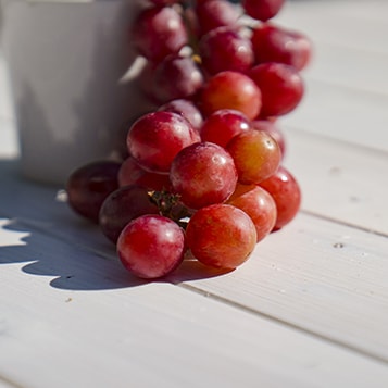 Grape Seed Oil Ingredient - CBD Gummies