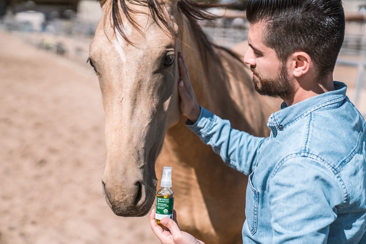 Green Gorilla USDA NOP Certified Organic Full Spectrum 2400mg Equine