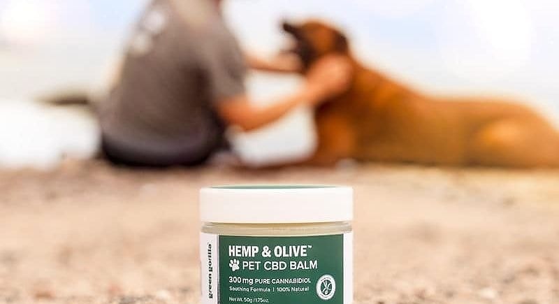 Cbd balm for Pets