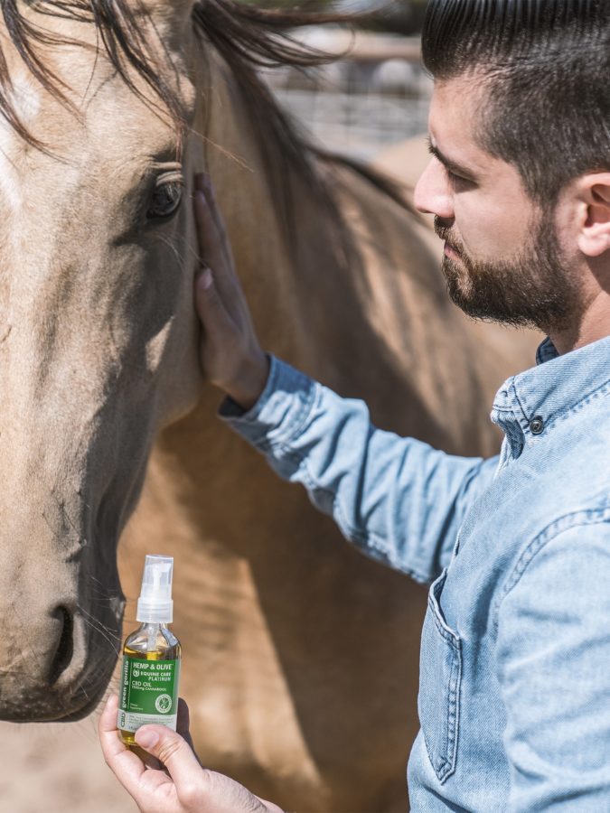 A person offering their horse max-strength CBD oil 