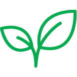 Plant based cannabidiol oils, topicals & chewables