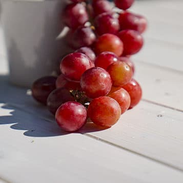 Resveratrol Ingredient - CBD Gummies