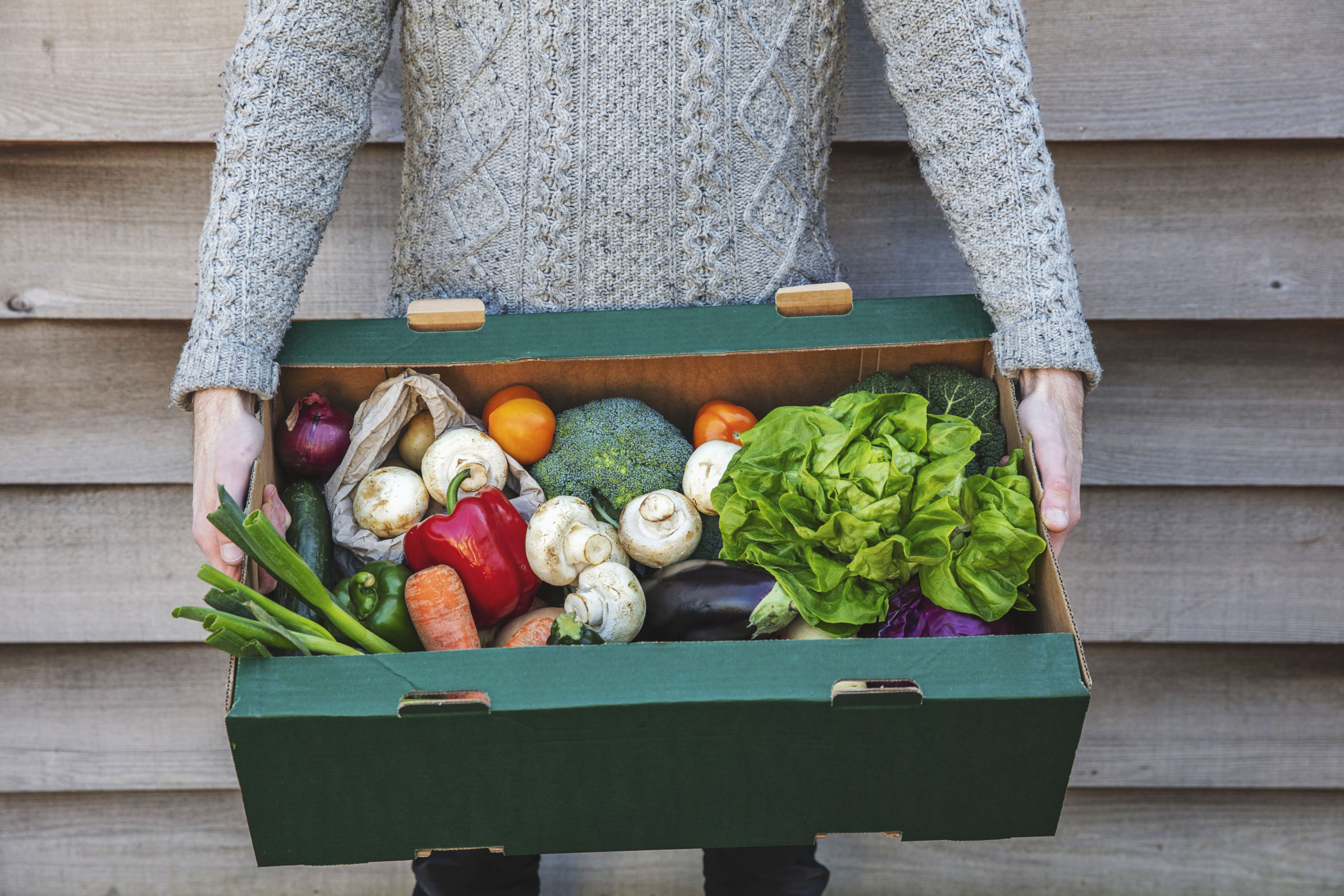 A person delivering a fresh box of vegetables. Online organic food shopping